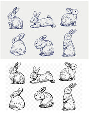 Bunny, rabbit, vector illustration set, engraving style, hand drawn