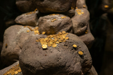 Ancient gold coins from the colonial era scattered over large rocks, resembling a lost treasure. The gleaming gold contrasts with the rugged stone, evoking history, wealth, and adventure.
