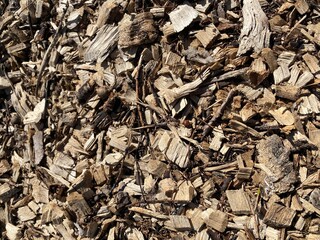 Wood chips background