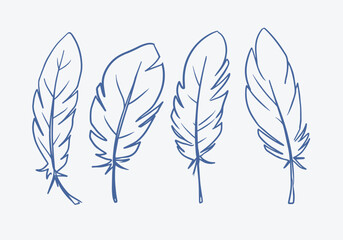 Obraz premium feathers, vector illustration set, hand drawn, sketch style