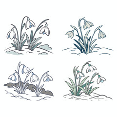 Flat Vector Illustration of Snowdrops Emerging Through Snow