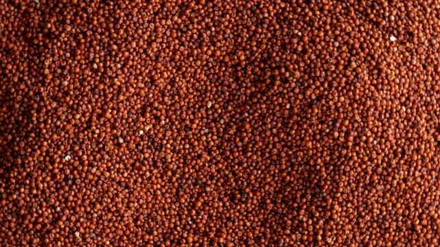 Macro video of finger millets. Close up of nachni kept on rotating disk.