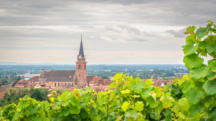 Eglise de Bergheim, village coloré sur la route des vins d'Alsace.	