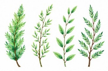 Fototapeta premium a set of various beautiful branches of plants for interior and decor.