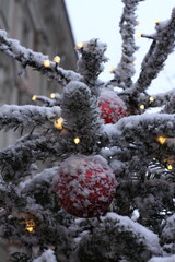 snow covered branches of a tree