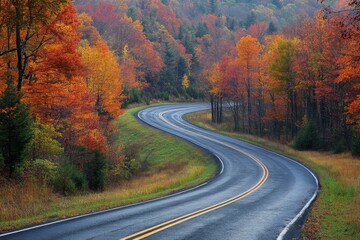 Winding Road Through Autumn Forest