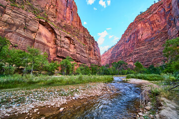 Zion Canyon Red Rocks and Stream in Sunlit Landscape at Eye Level