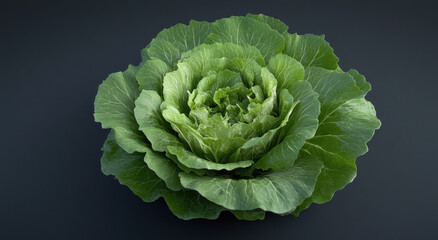 Fototapeta premium Fresh green lettuce showcasing vibrant leaves surrounded by dark background emphasizing its natural beauty and texture