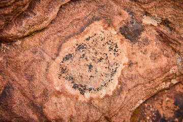 Circular Mineral Pattern on Weathered Rock Texture Eye Level View