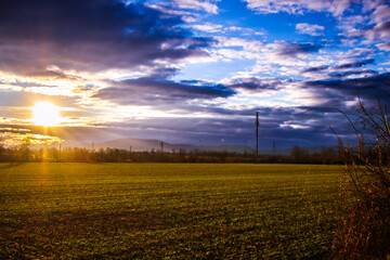 sunset in the field