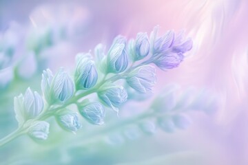 Obraz premium Delicate pastel-colored flower buds, softly blurred background, dreamy floral scene.