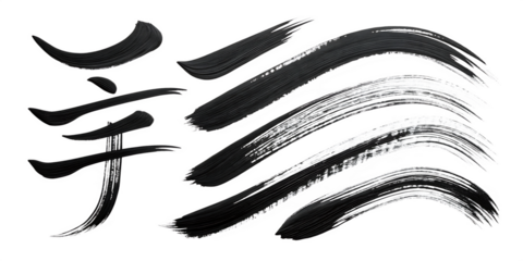 chinese calligraphy character