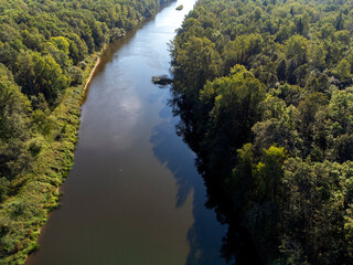 A river with trees on both sides. The water is calm and clear. The trees are green and lush