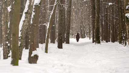 Fototapeta premium A person is walking through a snowy forest. The snow is deep and the trees are bare. The person is wearing a brown coat and he is enjoying the peacefulness of the winter landscape