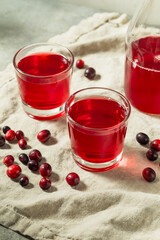 Cold Refreshing Healthy Cranberry Juice