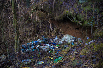 Plastic bottles, broken glass and various trash pollute the forest floor, highlighting the harmful effects of pollution on the natural environment. Pollution of the forest with household trash.