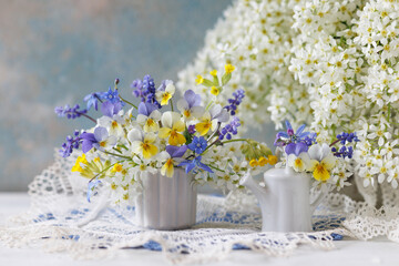 Bouquet of spring flowers pansies, primroses, muscari, bird cherry, scilla in a vase and a watering can on a table against a blue wall, close-up, blur.