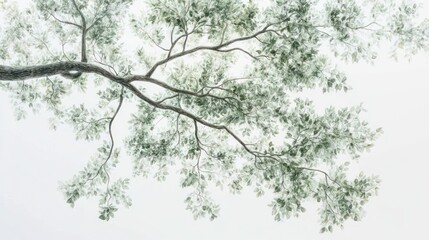 Tree branches, leaves, sky, nature, peaceful background, home decor