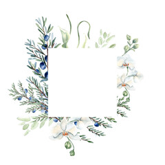 White orchids, juniper branches in pastel tones watercolor frame isolated. Coniferous twigs with white flowers in soft sage green hand drawn for packaging. Greenery botanical design for greeting card.