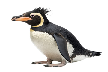 Fototapeta premium A penguin with a long black and white tail is standing on a transparent background