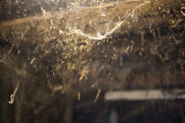 Web in the barn. Sunbeams illuminating floating dust particles and cobwebs hanging in a dark, abandoned barn interior, creating an eerie and haunting atmosphere filled with neglect and decay.