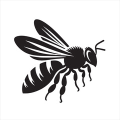 Vector  money bee silhouette