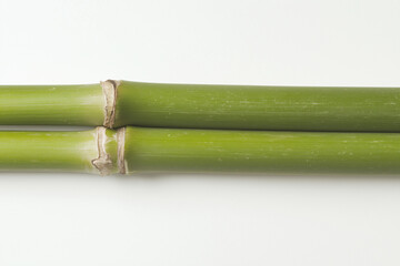 Fototapeta premium Serene Bamboo Duo: Two vibrant green bamboo stalks lie parallel, showcasing their smooth texture and natural knots. A minimalist image suggesting tranquility and natural harmony. 