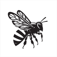 Vector  money bee silhouette