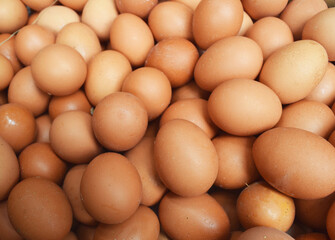 pile lots of chicken eggs for cooking ingredients