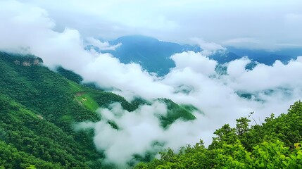 Obraz premium Misty Mountain Landscape, Lush Green Hills Enveloped in Clouds