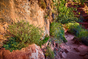 Rugged Desert Trail Pine Creek Canyon Hiking Path Immersive View