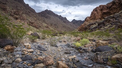 Fototapeta premium Dry rocky riverbed in a desert canyon under a stormy sky.