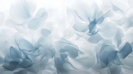 Close-up of a group of white flowers. the flowers are arranged in a scattered manner, with some overlapping each other. the petals of the flowers are delicate and have a soft, velvety texture.
