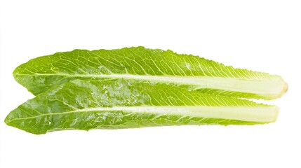 Obraz premium Fresh Romaine Lettuce Leaves on White Background for Healthy Cooking