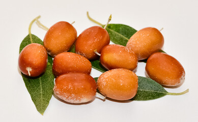 Images of various fruits. oleaster photos.