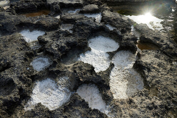 Close-up of natural salt formations in limestone rocks along Monopoli coast. Detail of erosion patterns with crystallized salt deposits