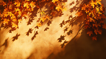 Warm golden light falls on a wall with the shadow of fallen maple tree leaves , golden, fall colors. Shadow Falls. Illustration