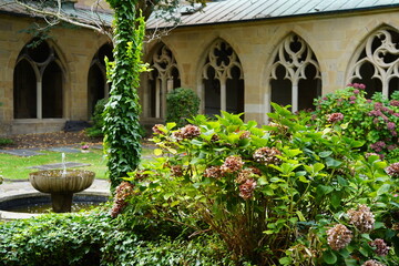 Cloister of the cathedral in Essen - the hydrangeas are fading