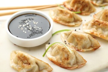 Fried gyoza dumplings with soy sauce on plate, closeup