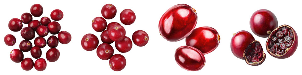Fresh dried cranberries isolated on transparent background, PNG, set of