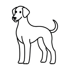bedlington  vector illustration line art on a white background