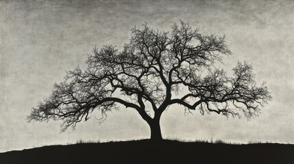 Lone oak tree silhouette, hilltop, stormy sky, nature photography, wall art