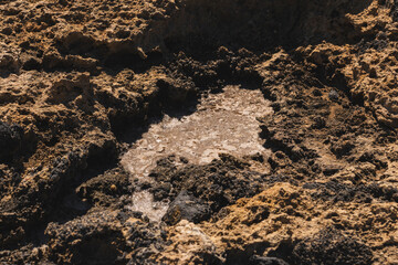 Detail of tafoni which are cavities that develop in granular rock