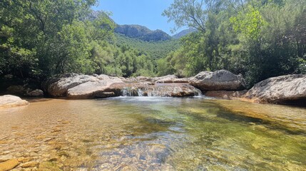 Clear Mountain Stream with Rocks and Lush Greenery