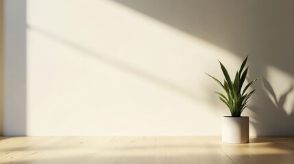 A serene interior scene featuring a single potted plant on a wooden floor, illuminated by natural sunlight, creating delicate shadows on a clean, white wall.