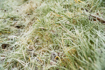 Frosty grass on winter walks with open fields in the background