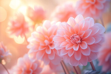 Fototapeta premium Ethereal Pastel Background of Blooming Dahlias and Peonies in Soft Focus and Dreamy Light. Generative AI