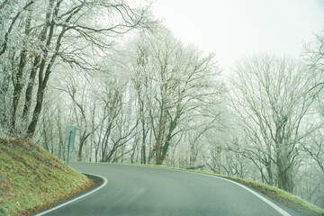 Winter morning with frosted trees, foggy atmosphere, a disappearing asphalt road