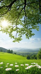 Naklejka premium A serene meadow brims with colorful wildflowers under gentle sun rays, surrounded by soft hills and an expansive sky perfect for thoughts