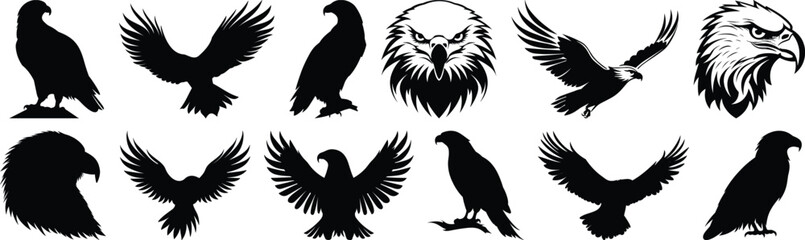 Eagle silhouettes set, bird pack of vector silhouette design, isolated background